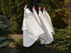 Pielucha BirdsEye KoKosi - 70x70cm, 145g, 